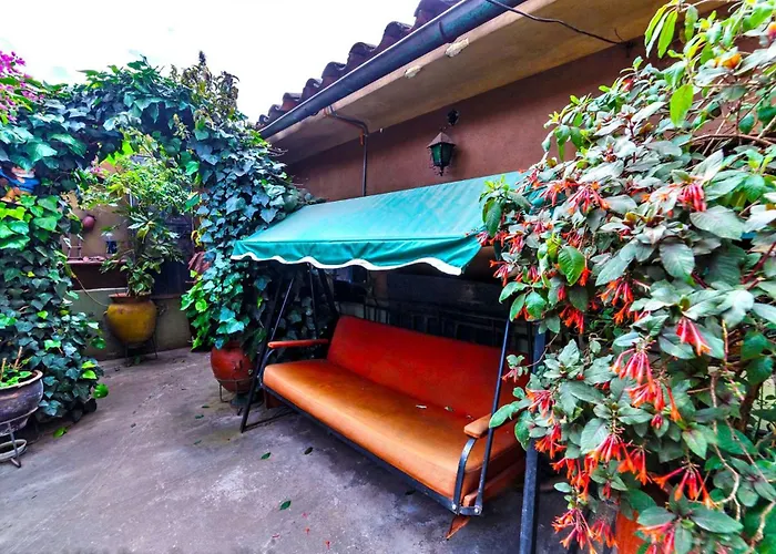 Fuente De Agua *